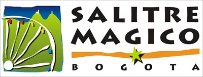 salitremagico logo 1